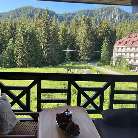 From Sunrise To Sunset At Oak * Smolyan