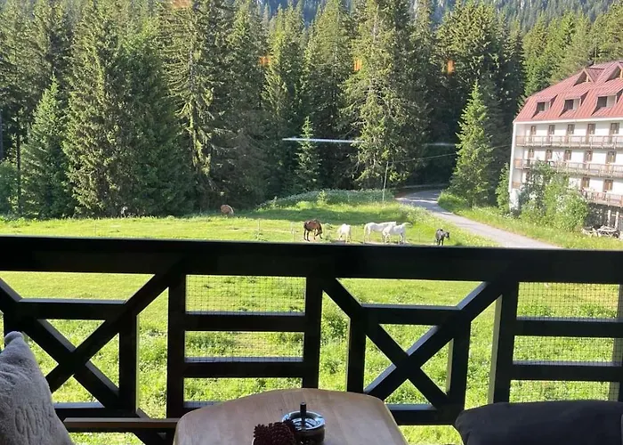 From Sunrise To Sunset At Oak * Smolyan